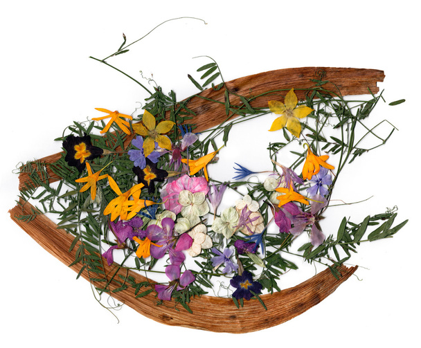 букет сухих цветов
 - Фото, изображение