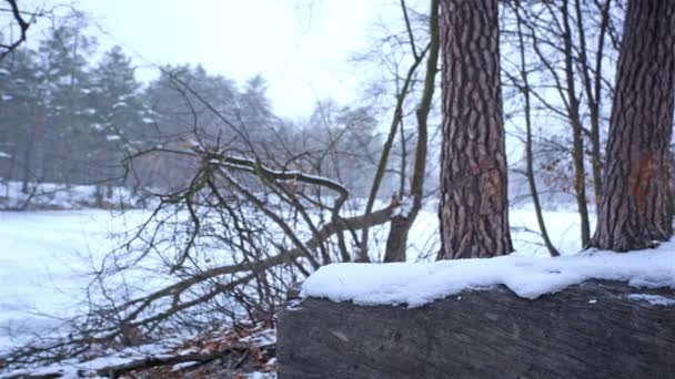 Kış manzarası. Ahşap ve donmuş göl 4k (4096 x 2304). Motorlu kaymak vurdu   - Video, Çekim