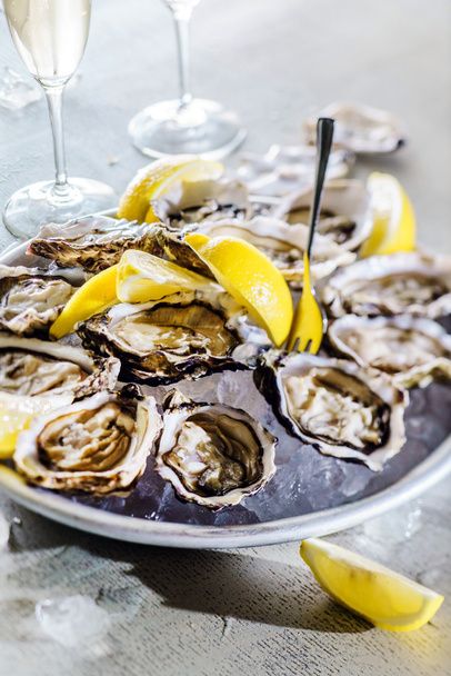 Opened Oysters  on a plate - Φωτογραφία, εικόνα