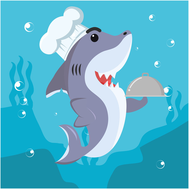 shark cheff vector illustration design - ベクター画像