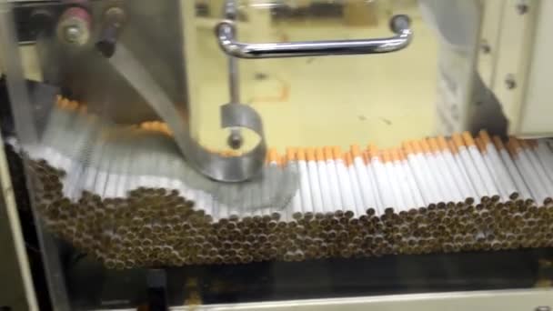 Sigara üretim fabrikası  - Video, Çekim