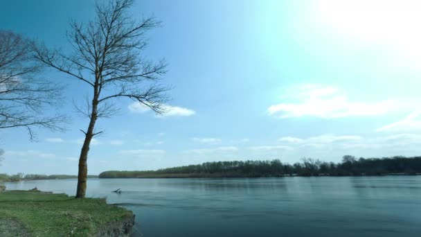 Mavi gökyüzü, nehir ve ağaçlar. Manzara. 4k (4096 x 2304) zaman küçük kuşlar olmadan sukut.  - Video, Çekim