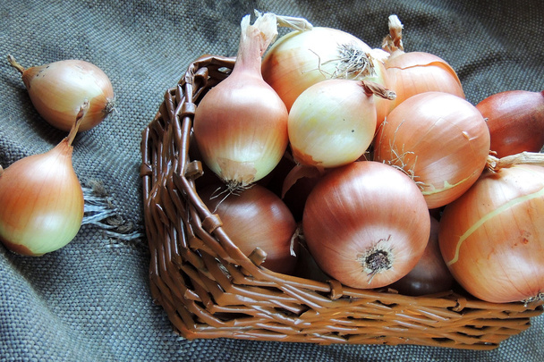 Onion in a basket - Photo, Image