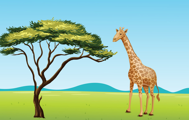 Giraffe by a tree - Vecteur, image