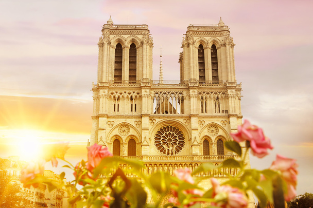 Katedrála Notre Dame de Paris. - Fotografie, Obrázek