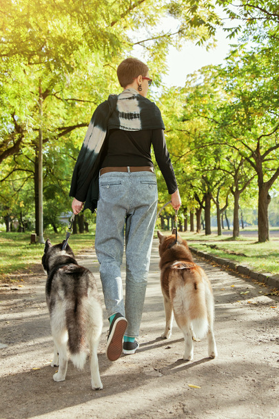 Mladá dívka s dvěma psy Husky na procházce v parku - Fotografie, Obrázek
