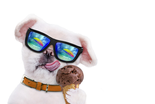 Собака їсть морозиво. Ізольовані на білому
. - Фото, зображення