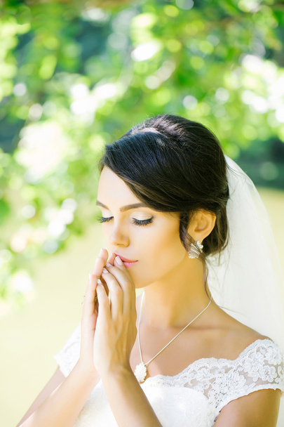pretty bride in veil - Photo, image
