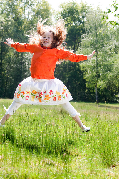 Jumping in the field - Photo, image