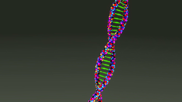 人間の Dna の分子構造 - 映像、動画