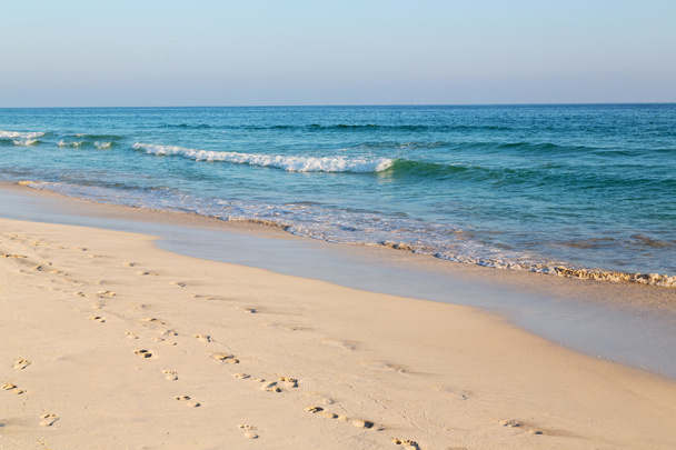 in oman arabic sea   sandy beach   - Photo, Image
