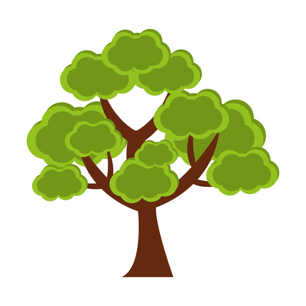 árbol planta bosque aislado icono - Vector, Imagen