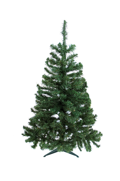 Christmas pine tree for decoration - Foto, afbeelding