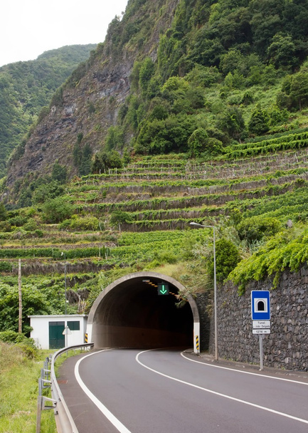 Túnel de Joao Delgado, Madeira
 - Foto, Imagen