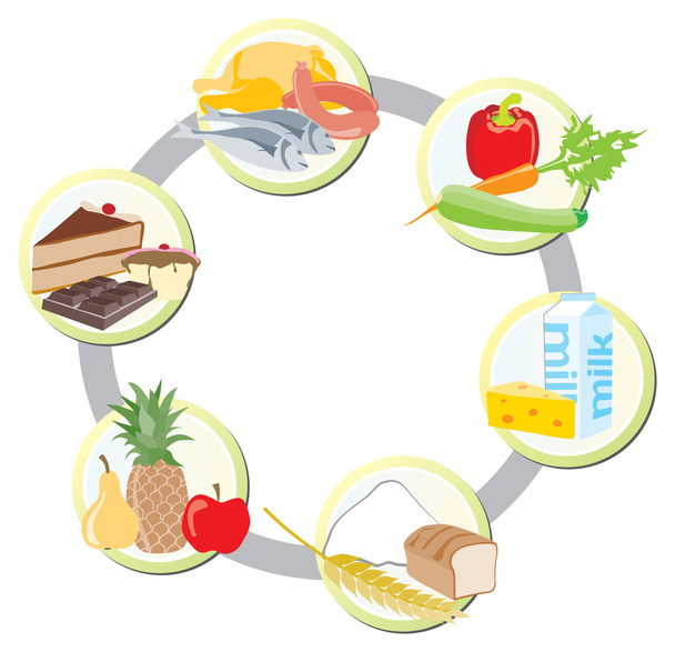 The food in groups: meat, poultry and fish + vegetables+ milk an - Vector, Image