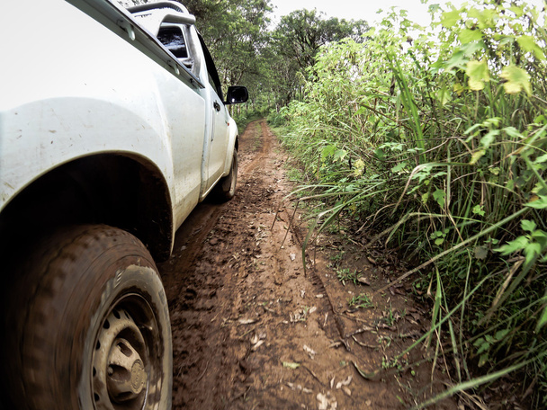 The car's wheels on the dirt road. - Photo, Image