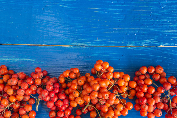 Rowanberries ile sonbahar kompozisyon  - Fotoğraf, Görsel