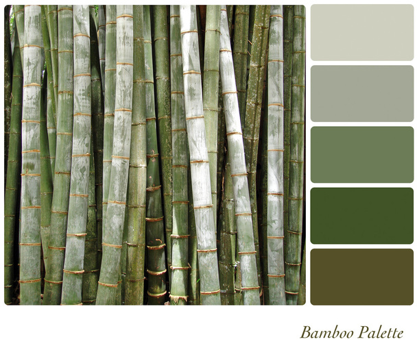 Bambu paleti - Fotoğraf, Görsel