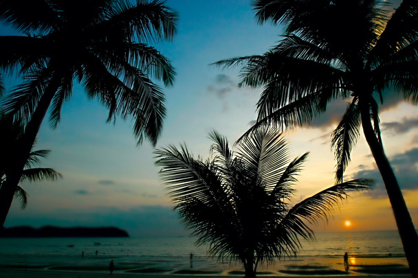 sunset in tropics - Photo, Image