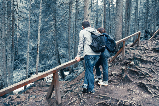 jeune couple qui voyage arrêté dans la forêt pour les loisirs
 - Photo, image