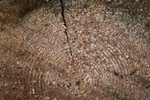 textura de fondo de madera aserrada
 - Foto, imagen