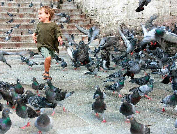 счастливый мальчик бежит среди голубей
 - Фото, изображение