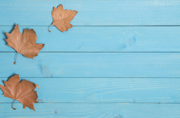 jesień i niebieski drewno - Zdjęcie, obraz