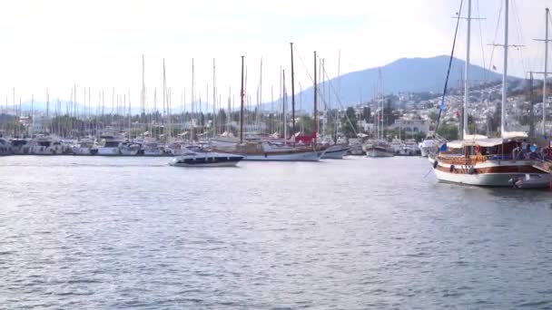 Jachtów w marinie z białymi domami na tle Bodrum, Turcja - Materiał filmowy, wideo