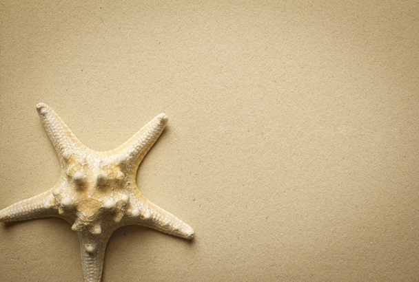 Морська зірка на паперовому фоні
 - Фото, зображення