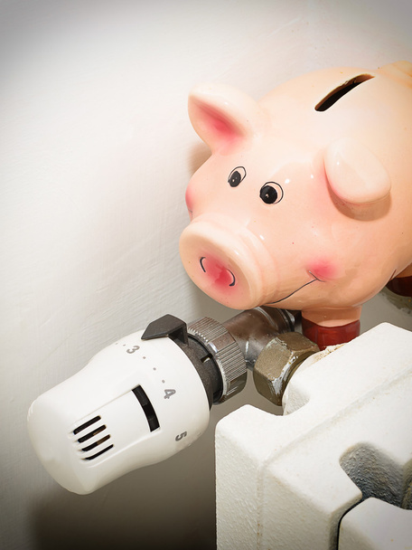 Γουρουνάκι Τράπεζα και η βαλβίδα του ψυγείου για την εξοικονόμηση ενέργειας - Φωτογραφία, εικόνα