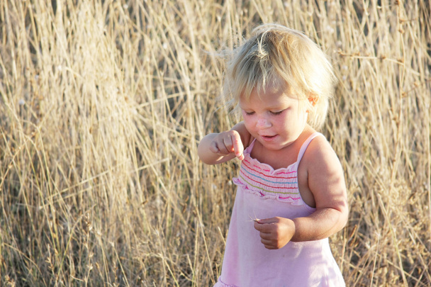 linda niña en la hierba de campo amarillo
 - Foto, imagen