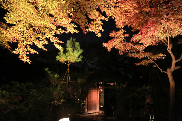 val seizoen van kodaiji nacht  - Foto, afbeelding