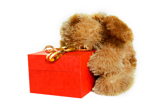 juguete perro con caja de regalo sobre blanco
 - Foto, imagen