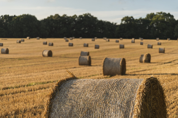 Beautiful countryside landscape image of hay bales in Summer fie - Photo, Image
