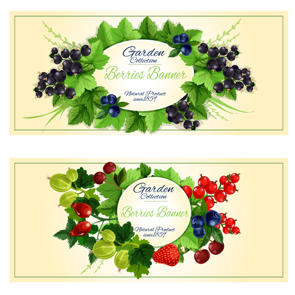 Fresh berries and fruits banners for food design - Vector, Image