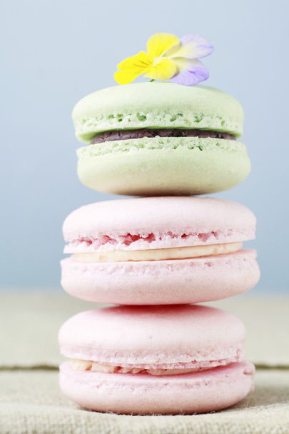 Stack of french macaroons - Photo, image