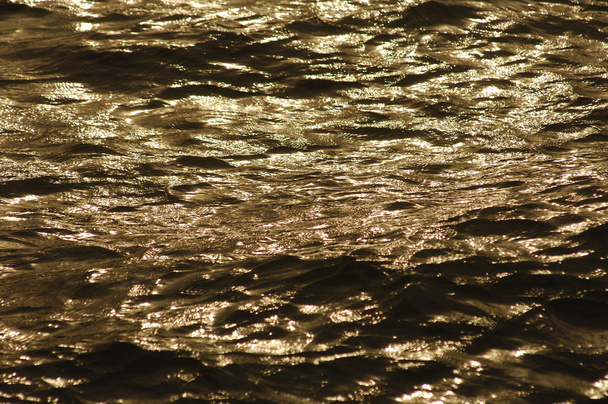 昼間の水の波 - 写真・画像