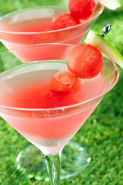 Watermelon Martini - Foto, Imagem
