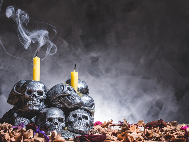 Skulls with candle and dried flowers on dark background. - Fotó, kép