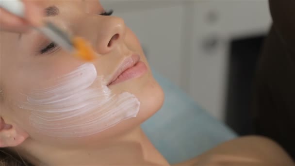 Weibliche Hände cremen das Gesicht von Frauen mit dem Pinsel ein - Filmmaterial, Video