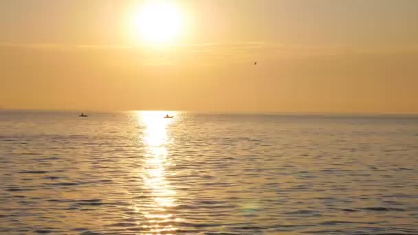 Sonnenaufgangssonne über dem Meer, wo Vögel fliegen und auf Wellen reflektieren - Filmmaterial, Video