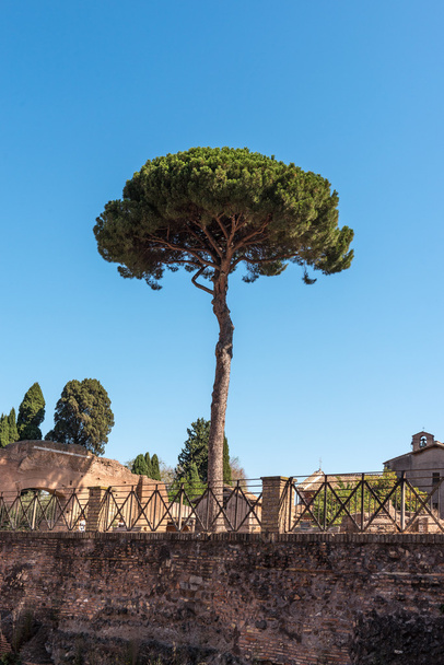 Rome in Italy - Valokuva, kuva