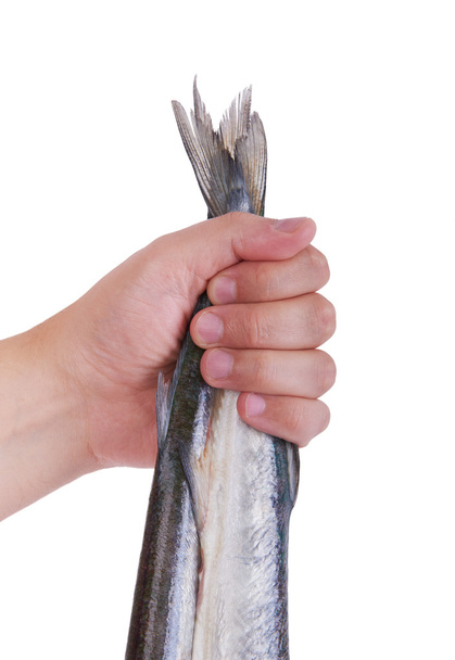 Gar fish. Man's hand holding a fish, background. - Foto, imagen