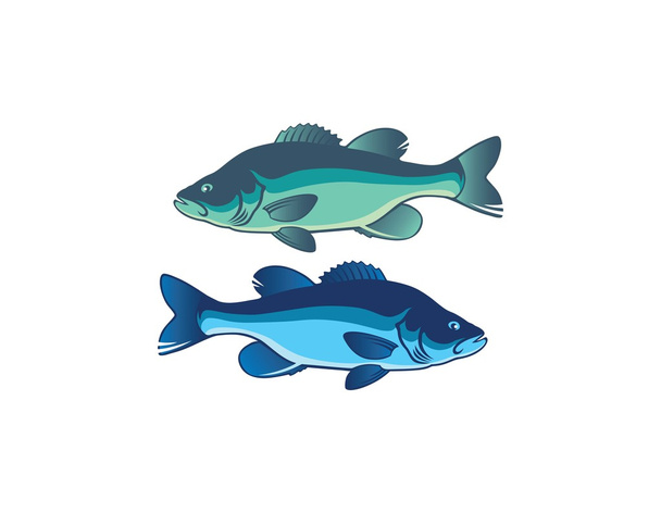 deux basse de poisson
 - Vecteur, image