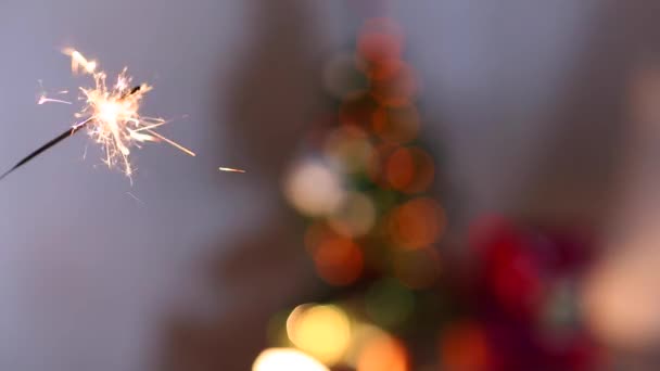 Woman's Hand Hold Show Sparklers, Bengal Fire, Lights Bokeh Background From Christmas Tree in Evening. - Video, Çekim