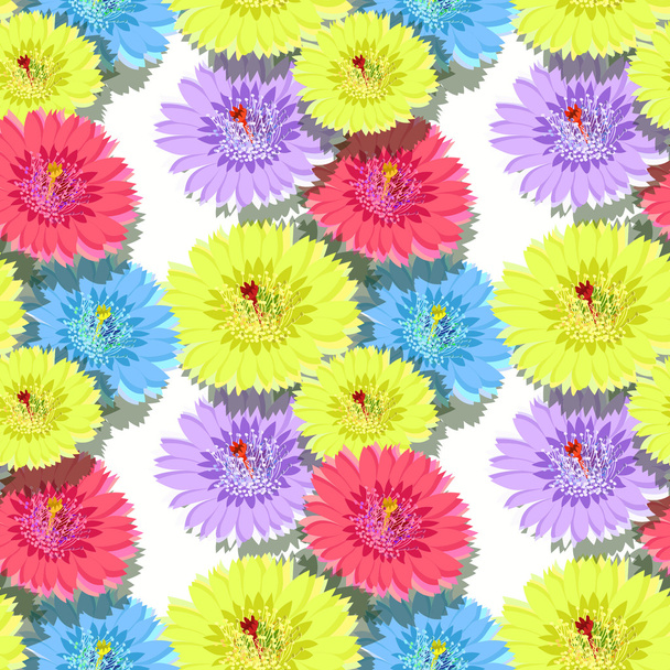 サボテンの花影とのシームレスなパターン。ベクトル illustrat - ベクター画像