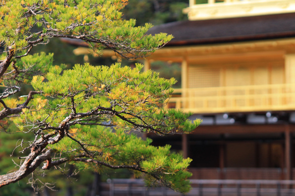 золотистий павільйон kinkakuji храму в Кіото, Японія - Фото, зображення