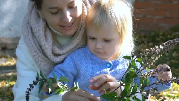 Όμορφη μητέρα με Γλυκία Κόρη μυρίζει Βασιλικό - Πλάνα, βίντεο
