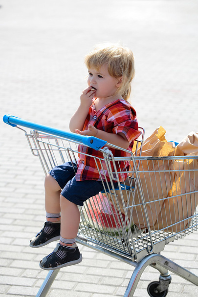 Cute boy in shopping trolley - Φωτογραφία, εικόνα