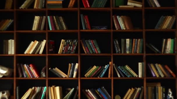Bücherregale in der Universitätsbibliothek mit vielen Büchern - Filmmaterial, Video